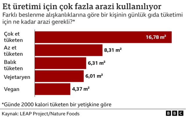 Arazi kullanımı