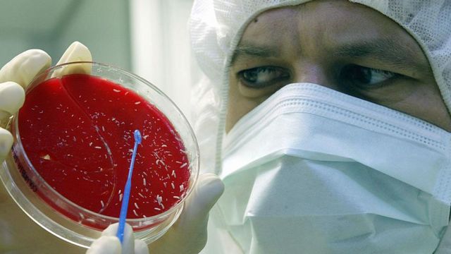 Produção de larvas da empresa europeia BioMonde