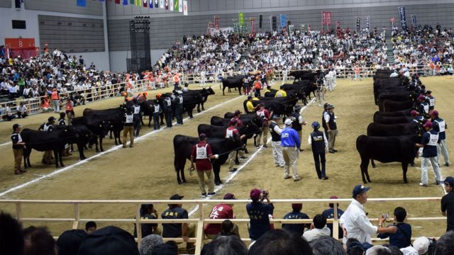 National Competitive Exhibition of Wagyu