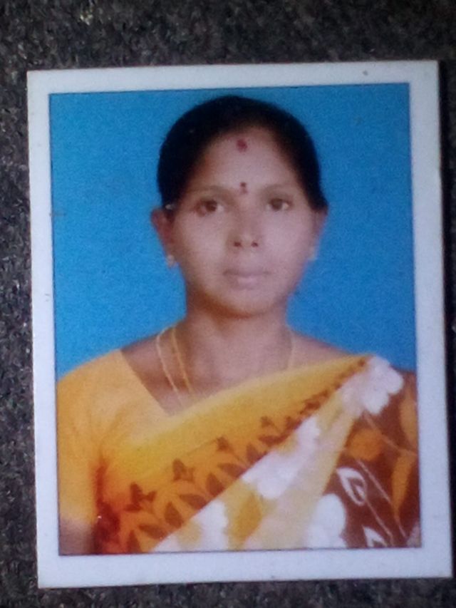 பள்ளிகள், தமிழ்நாடு