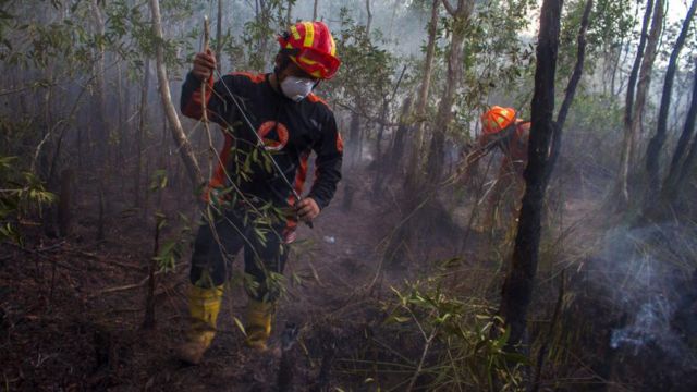 Petugas Badan Penanggulangan Bencana Daerah (BPDB) Provinsi Kalsel berupaya memadamkan api yang membakar lahan di Kecamatan Liang Anggang, Banjarbaru, Kalimantan Selatan, akhir Juni lalu.