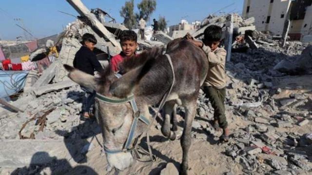 کودکان آواره در غزه