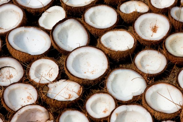 Noix de coco : des bienfaits insoupçonnés de son huile
