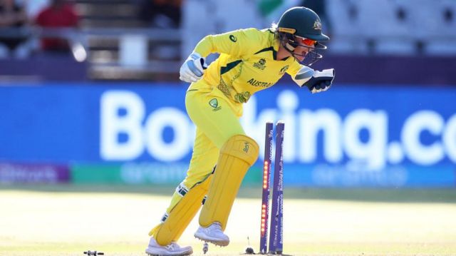 கிரிக்கெட்