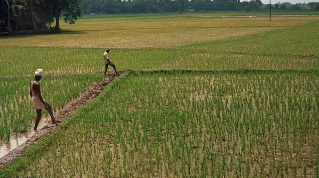 காவிரி நீர் தமிழகத்துக்கு வரவே வராதா? தமிழ்நாட்டின் முன் இருக்கும் வாய்ப்புகள் என்ன?