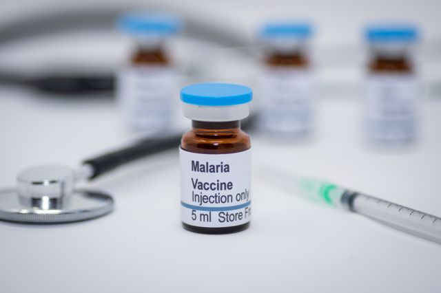 A sample of the malaria vaccine