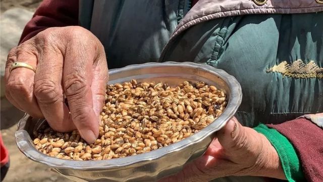 லடாக்கில் காலநிலை மாற்றம்