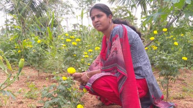 இயற்கை விவசாயத்தில் சாதிக்கும் பட்டதாரி பெண்
