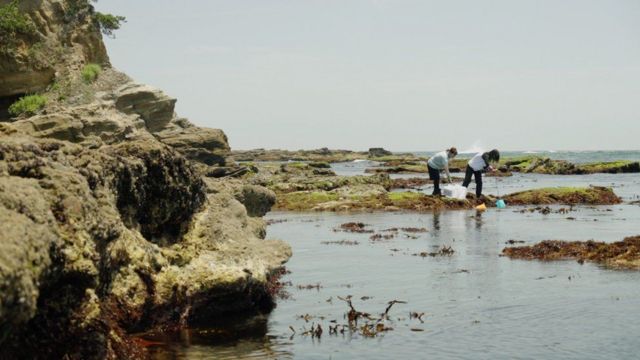 Dos mujeres recolectando muestras en la costa, bastante cerca de la planta de Fukushima.