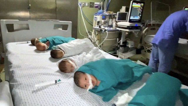 Bebés en una cama del hospital 
