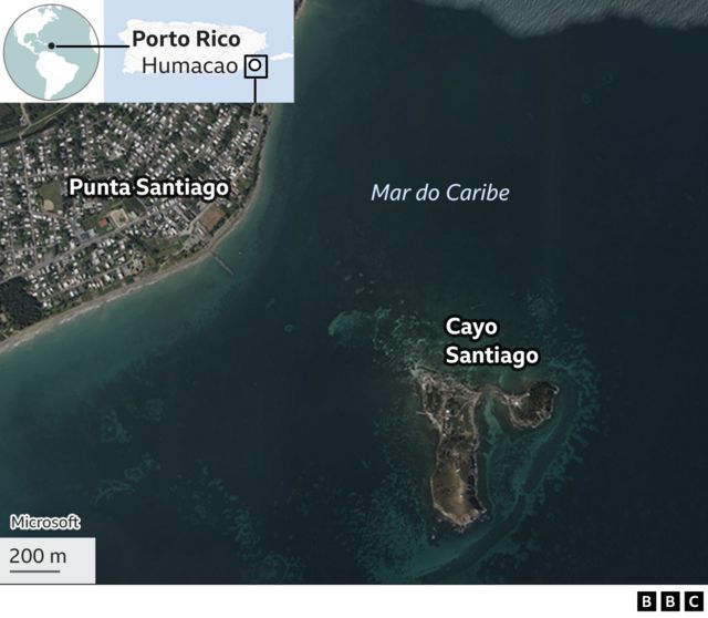 Mapa mostrando onde fica a ilha de Cayo Santiago