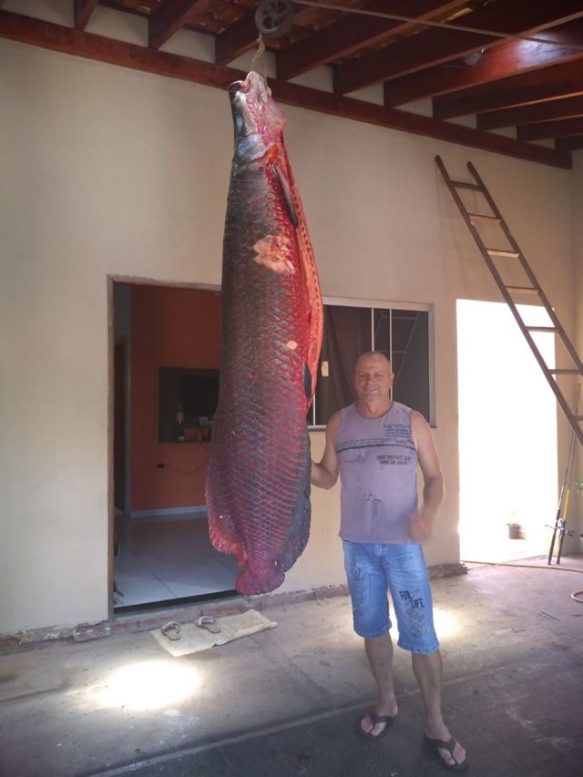Lucio Omar Pereira com pirarucu de 110 quilos pescado no rio Grande em 2019