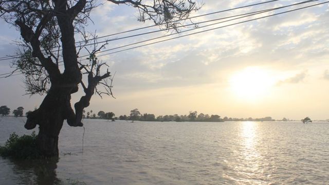 அம்பாறை மாவட்டத்தைப் புரட்டிப் போட்டுள்ள வெள்ளம்