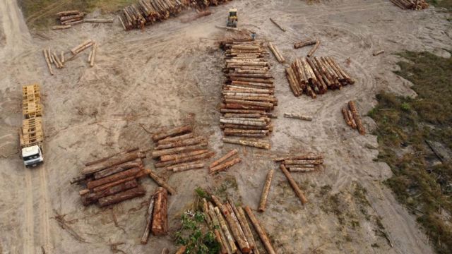 Deforestación en Brasil 