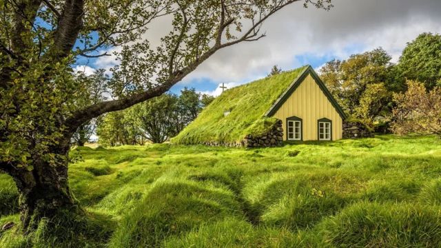Rumah hijau di Islandia.