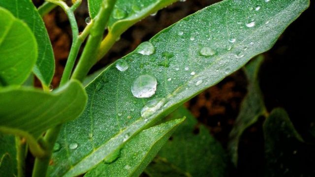 Cold water dey good for body? See wetin Science tok - BBC News Pidgin