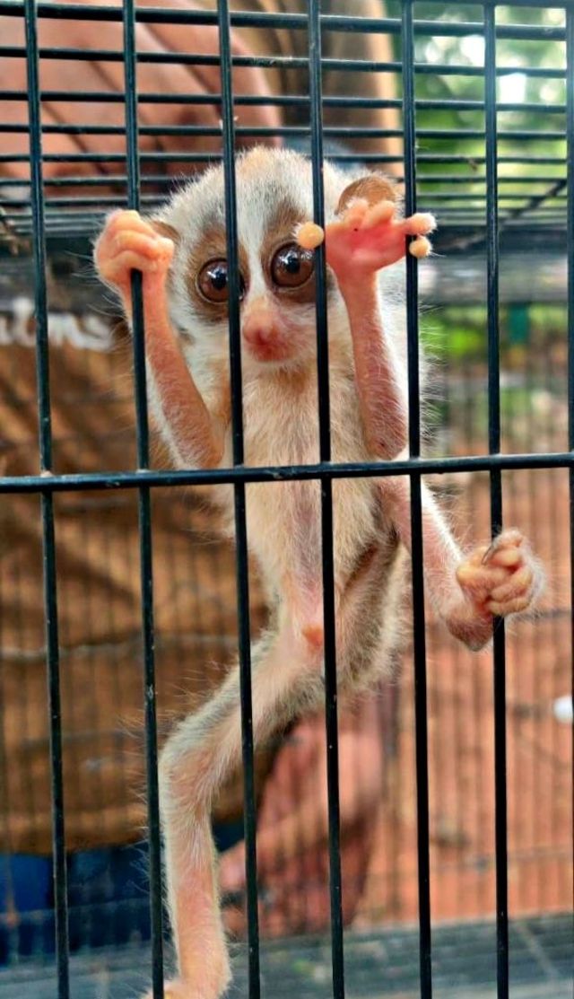 மதுரை மத்திய சிறையை இடமாற்ற  மக்கள் எதிர்ப்பு