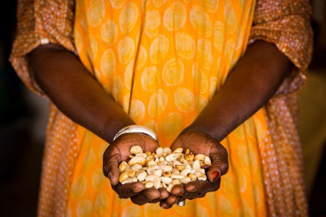 Nutrition : les 10 bienfaits de la noix de cajou pour la santé - BBC News  Afrique