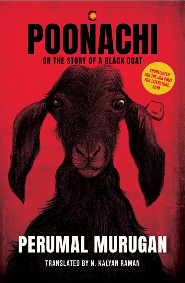 பூனாச்சி