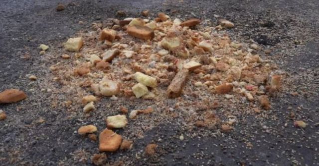 சிட்டு குருவி, இயற்கை, சுற்றுச்சூழல்