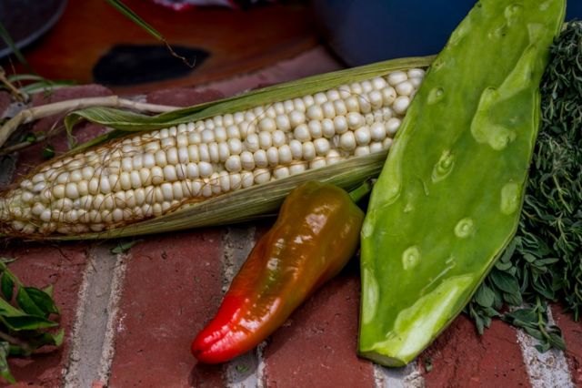 Milho, pimenta e nopal