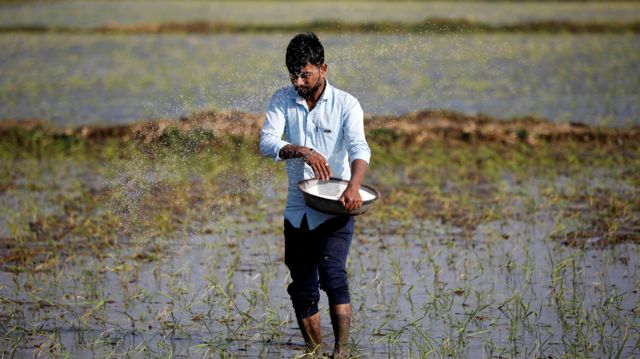 नेपालमा रासायनिक मल कारखाना खोल्नेबारे फेरि अध्ययन गरिँदै, कति लाग्छ लागत?