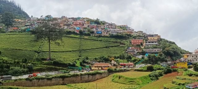 நீலகிரி, ட்ரௌட் மீன், பர்ன்ஃபூட் ஏரி