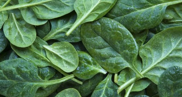 கீரை வகை நச்சு பாதிப்பு