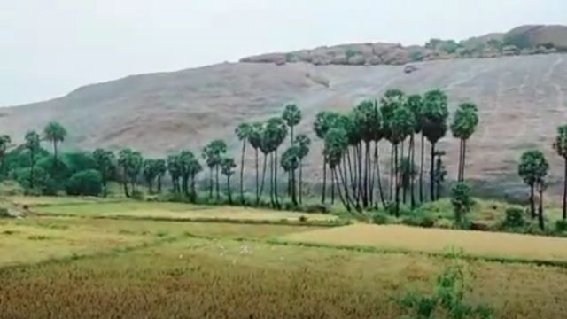 அரிட்டாபட்டி: தமிழ்நாட்டின் முதல் பல்லுயிர் பாரம்பரிய தலத்தின் 2,000 ஆண்டு வரலாறு