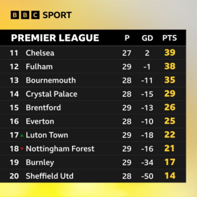 Premier League table - bottom half