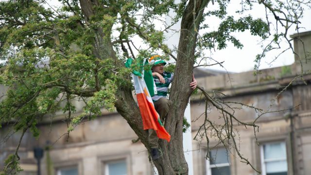 Celtic fan climbs a tree