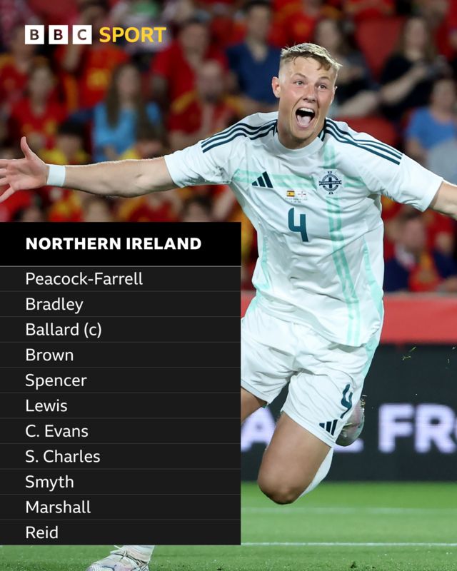 Northern Ireland team