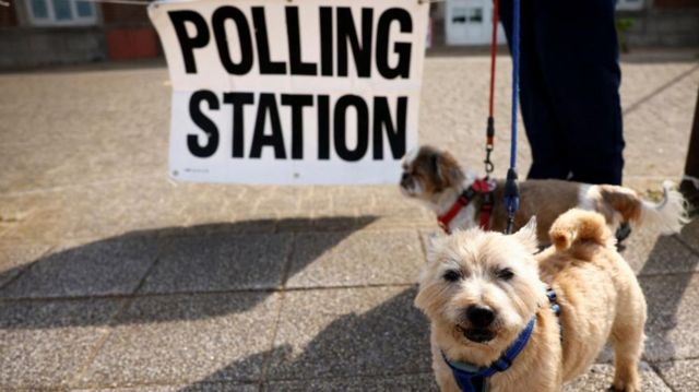 Dogs stand outside a polling station at the Solaris Centre in Blackpool