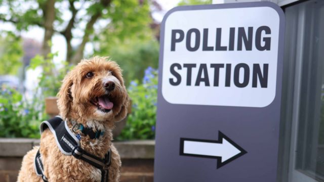 A dog sits by the entrance to a polling station