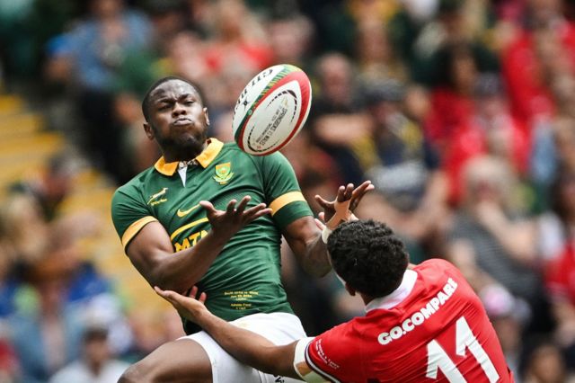 Aphelele Fassi fights for the ball with Wales' wing Rio Dyer