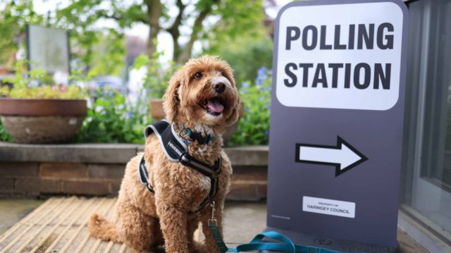 Dog sat in front of a sign labelled Polling Station with an arrow underneath it pointing to the right