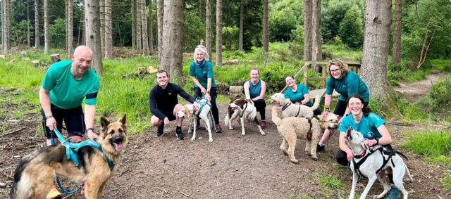 A group of runners in blue T-shirts stand with their dogs in the woods