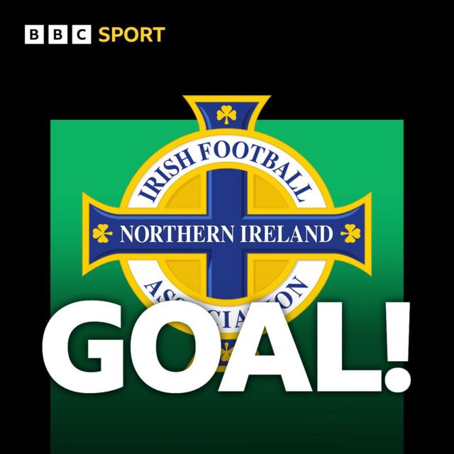 Northern Ireland goal