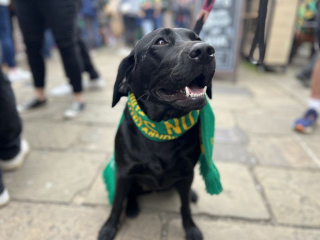 Ivy the dog celebrating the team's win in Northampton