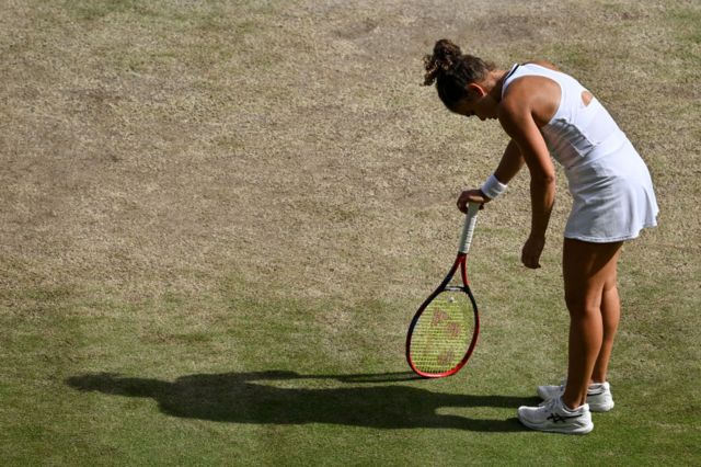 Wimbledon Final: Watch 2024 Women's Final - Jasmine Paolini Vs Barbora ...