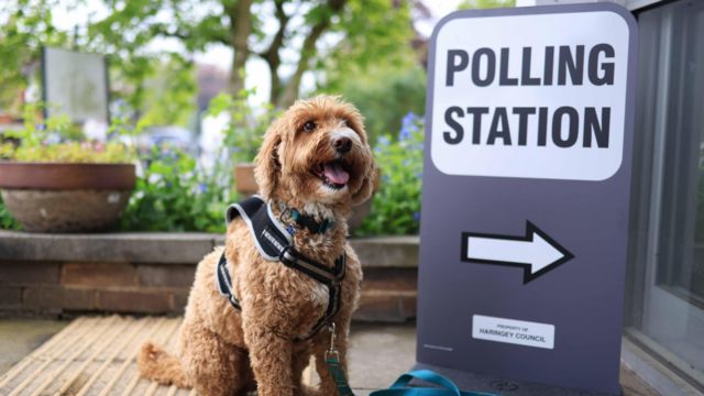 Enzo the dog waits at a polling station sign