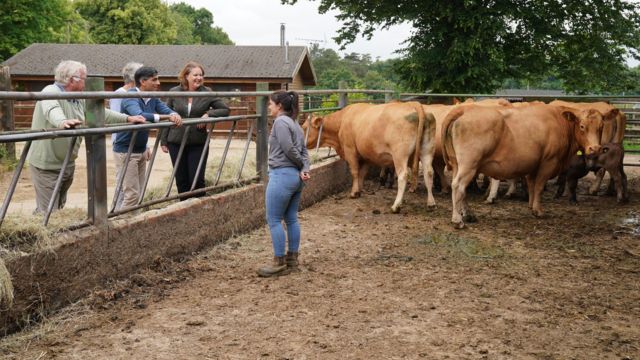 Rishi Sunak talks to people on a farm while looking at some cows
