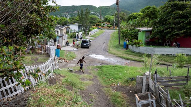 A view of a lush neighbourhood in Kingston as the hurricane moves closer. A man is walking across the road, with a few people in background.