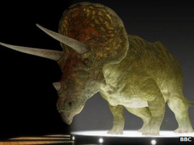 Triceratops And Torosaurus Dinosaurs Two Species Not One c News