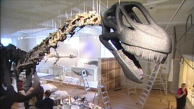 Rutland Dinosaur at New Walk Museum