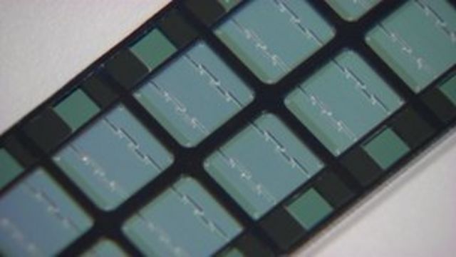 dna test reveals 80 markers for