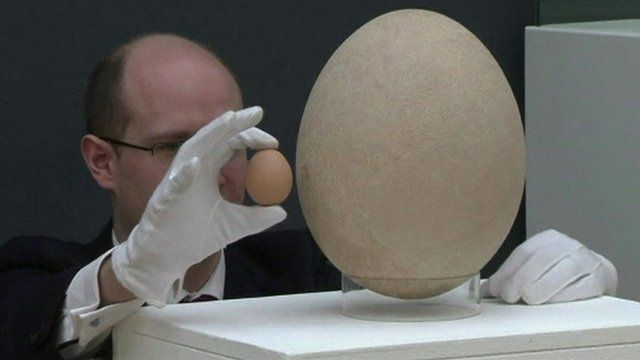 The giant egg on display next to a chicken's egg