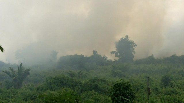 Forest fire in Sumatra