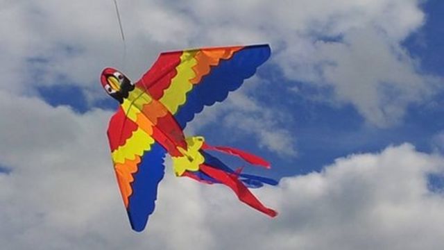 Fish Swim In Sky Delta Kite with Flying Line&Handle Rainbow UK Z9D3 