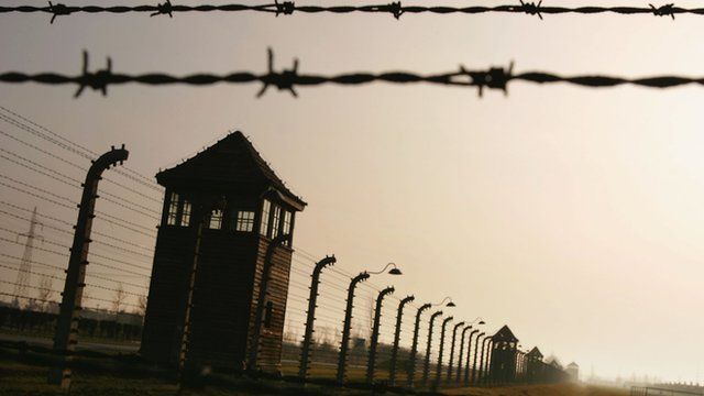 Auschwitz camp fence